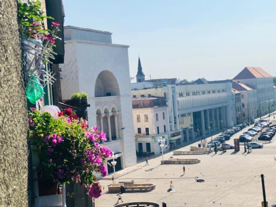 Joy City Stay Republicii 19 Temeşvar Dış mekan fotoğraf